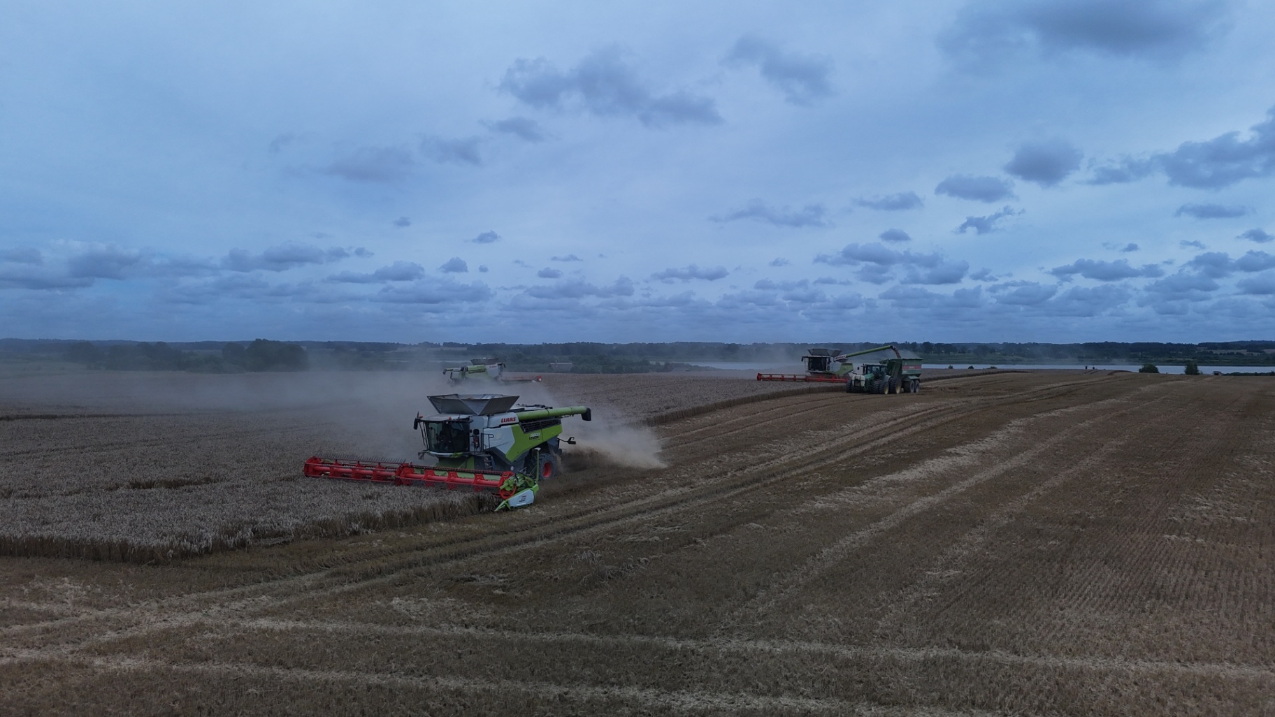 Claas Lexion kombains kviešu ražas novākšanā